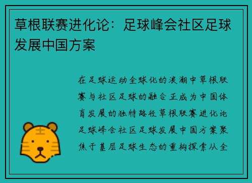草根联赛进化论：足球峰会社区足球发展中国方案