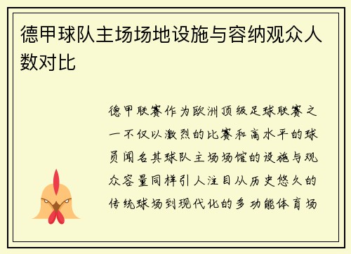 德甲球队主场场地设施与容纳观众人数对比