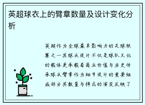 英超球衣上的臂章数量及设计变化分析